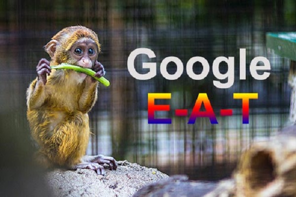 什么是谷歌E-A-T，Google E-A-T 质量评分指南